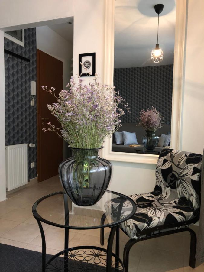 Downtown Rose Garden Apartments Whit Garage Opcional Budapest Ngoại thất bức ảnh